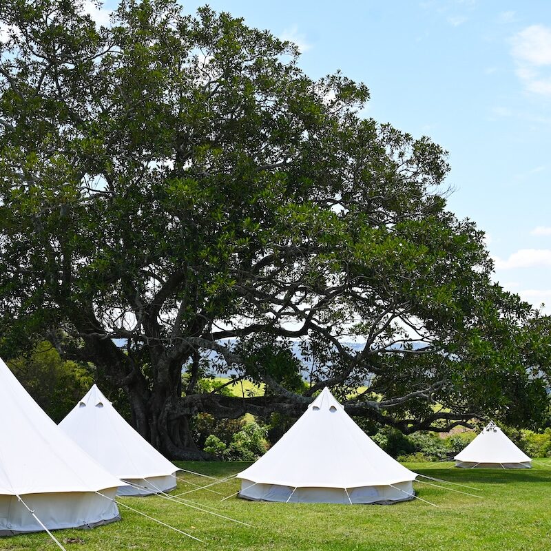 Rejuvenate Health and Wellness Retreat 2026